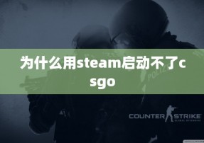 为什么用steam启动不了csgo