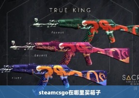 steamcsgo在哪里买箱子