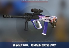 新手玩CSGO，如何轻松获取箱子呢？