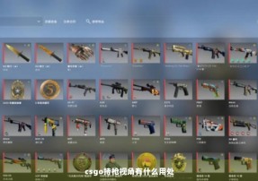 csgo持枪视角有什么用处