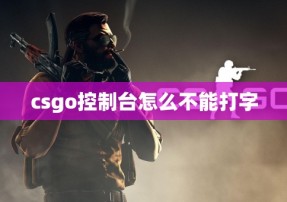 csgo控制台怎么不能打字