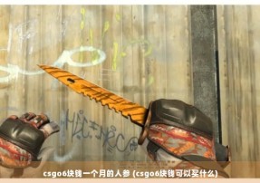 csgo6块钱一个月的人参 (csgo6块钱可以买什么)