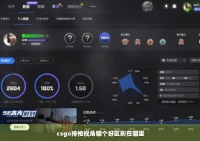 csgo持枪视角哪个好区别在哪里