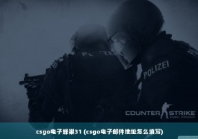 csgo电子蜂巢31 (csgo电子邮件地址怎么填写)