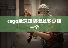 csgo全球攻势徽章多少钱一个