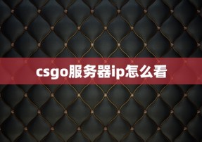 csgo服务器ip怎么看