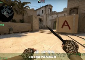 csgo游戏中反作弊失败