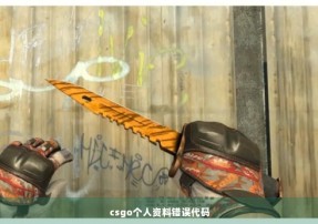 csgo个人资料错误代码