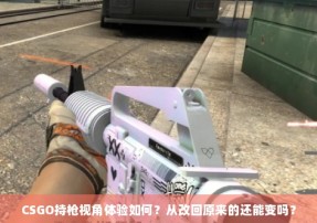 CSGO持枪视角体验如何？从改回原来的还能变吗？