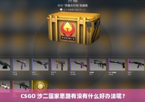 CSGO 沙二匪家思路有没有什么好办法呢？