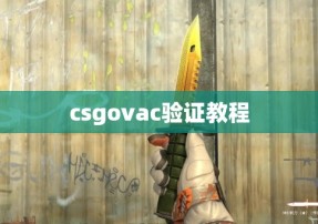 csgovac验证教程