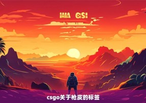 csgo关于枪皮的标签