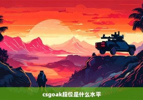 csgoak段位是什么水平