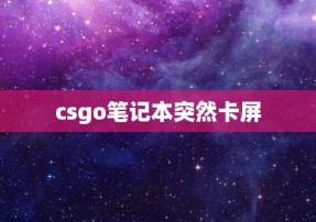 csgo笔记本突然卡屏