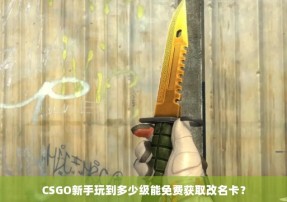 CSGO新手玩到多少级能免费获取改名卡？