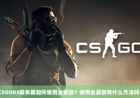 CSGO83服务器如何使用全皮肤？使用全皮肤有什么方法吗？