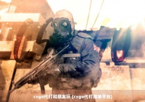 csgo代打和朋友玩 (csgo代打接单平台)