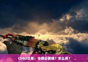 CSGO交易：令牌必要嘛？怎么弄？