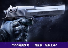 CSGO完美战力：一览全貌，轻松上手！