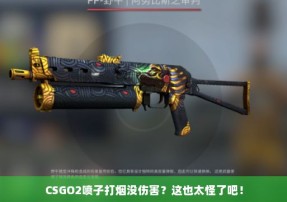 CSGO2喷子打烟没伤害？这也太怪了吧！