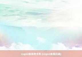 csgo2总突然卡死 (csgo2总是闪退)