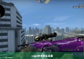 csgo中文怎么设置