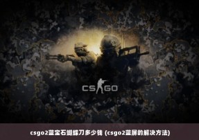 csgo2蓝宝石蝴蝶刀多少钱 (csgo2蓝屏的解决方法)