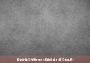 炙热沙城闪光弹csgo (炙热沙城a1高闪怎么扔)