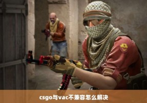 csgo与vac不兼容怎么解决