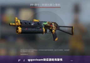 csgosteam验证游戏完整性