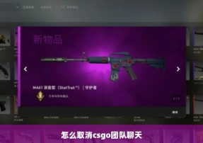 怎么取消csgo团队聊天