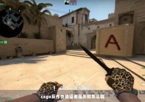 csgo反作弊验证老是失败怎么搞