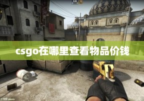 csgo在哪里查看物品价钱