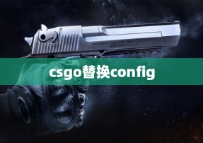 csgo替换config