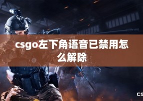 csgo左下角语音已禁用怎么解除