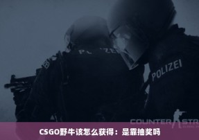 CSGO野牛该怎么获得：是靠抽奖吗