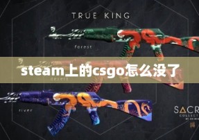 steam上的csgo怎么没了