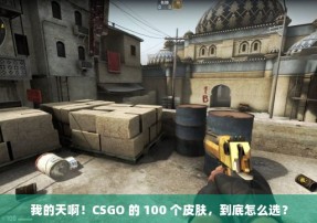 我的天啊！CSGO 的 100 个皮肤，到底怎么选？