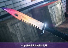 csgo持枪视角改成默认代码