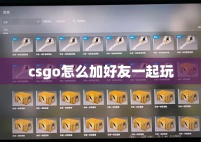 csgo怎么加好友一起玩