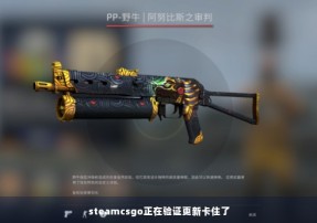 steamcsgo正在验证更新卡住了