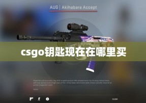 csgo钥匙现在在哪里买