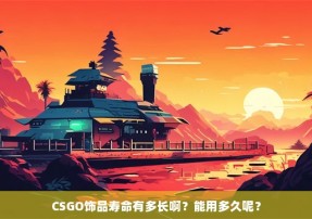 CSGO饰品寿命有多长啊？能用多久呢？