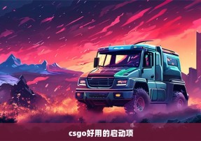 csgo好用的启动项