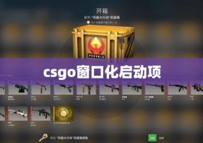 csgo窗口化启动项