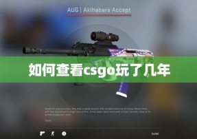 如何查看csgo玩了几年