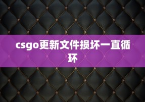 csgo更新文件损坏一直循环