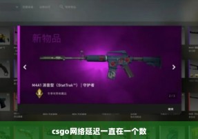 csgo网络延迟一直在一个数