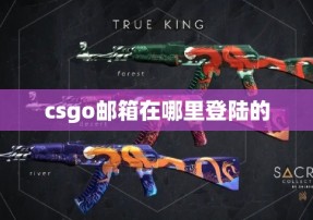 csgo邮箱在哪里登陆的