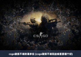 csgo破损不堪的潘多拉 (csgo破损不堪和战痕累累哪个好)